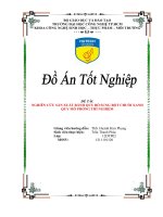 Nghiên cứu sản xuất bánh quy bổ sung bột chuối xanh quy mô phòng thí nghiệm