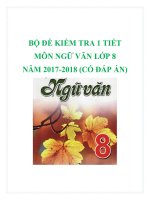 Bộ đề kiểm tra 1 tiết môn Ngữ Văn lớp 8 năm 2017-2018 có đáp án