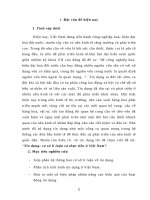 Tiểu luận: Tín dụng cơ sở lí luận và thực tiễn ở Việt Nam