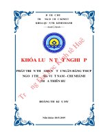 Luận văn kinh tế PHÁT TRIỂN THẺ GHI NỢ TẠI NGÂN HÀNG TMCP NGOẠI THƯƠNG VIỆT NAM - CHI NHÁNH THỪA THIÊN HUẾ