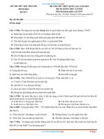 Đề Thi Thử Tốt Nghiệp THPT Lịch Sử Theo Đề Minh Họa 2021 Có Lời Giải Chi Tiết Và Đáp Án (Đề 1)