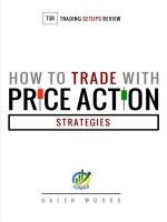 How to trade with price action (strategies) galen woods