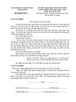 Đề thi chọn học sinh giỏi cấp tỉnh môn Ngữ văn 12 năm học 2013-2014 – Sở Giáo dục và Đào tạo Hải Dương (Có đáp án)