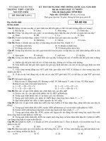 Đề thi thử THPT QG môn Sinh học lần 1 năm 2020 - Sở GD&ĐT Hải Dương