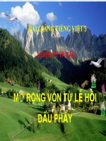 Slide bài LTVC: Mở rộng vốn từ: Lễ hội. Dấu phẩy - Tiếng việt 3 - GV.N.Tấn Tài