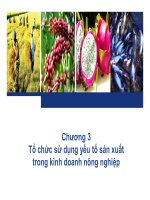Bài giảng quản trị kinh doanh nông nghiệp chương 3   ths  nguyễn hà hưng 