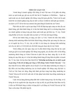 Giải pháp marketing cho các dịch vụ giá trị gia tăng VAS trên di động tại công ty viễn thông viettel viettel telecom (tt) 