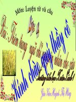 LUYEN TU VA CAU THEM TRANG NGU CHI NGUYEN NHAN CHOCAU