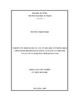 Nghiên cứu định danh các cấu tử hóa học có trong dịch chiết dichloromethane, ethyl acetate và n hexane của củ nưa trên địa bàn tỉnh quảng nam 