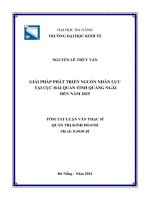 Giải pháp phát triển nguồn nhân lực tại Cục Hải quan tỉnh Quảng Ngãi đến năm 2025