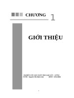Nghiên cứu sản xuất trà gạo lức gừng