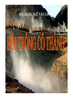 Bài giảng Ngữ văn 10: Hồi trống cổ thành