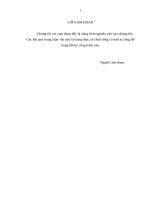 Luận văn y học (HOÀN CHỈNH) tìm hiểu tình hình mắc các bệnh lý thận tiết niệu của nhân dân xã hương hồ   hương trà   tỉnh thừa thiên huế 