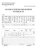 mau bao cao thuc luc 2010 2011