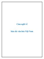 Văn mẫu lớp 9: "Cảm nghĩ về bản sắc văn hóa Việt Nam"