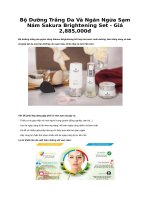 Bộ dưỡng trắng da và ngăn ngừa sạm nám sakura brightening set    giá 2,885,000đ