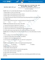 Đề thi giữa HK2 môn Sinh lớp 11 năm 2018-2019 - Trường THPT Yên Lạc lần 3