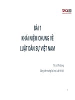 Bài giảng Luật Dân sự Việt Nam Bài 1 - ThS. Lê Thị Giang