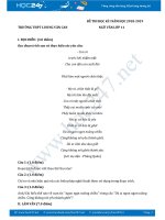 Đề thi HK1 môn Ngữ văn lớp 11 năm 2018-2019, Trường THPT Lương Văn Can