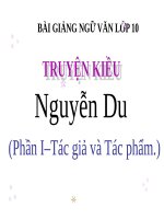 Bài giảng Ngữ văn 10 tuần 28 bài: Truyện Kiều - Nguyễn Du