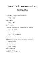 TRẮC NGHIỆM MÔN SINH_CHUYỂN HOÁ VẬT CHẤT VÀ NĂNG LƯỢNG :ĐỀ 13