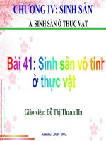 Bài giảng Sinh học 11 - Bài 41: Sinh sản vô tính ở thực vật (Đỗ Thị Thanh Hà)