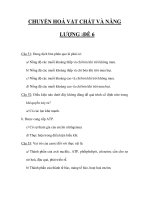 TRẮC NGHIỆM MÔN SINH_CHUYỂN HOÁ VẬT CHẤT VÀ NĂNG LƯỢNG :ĐỀ 6