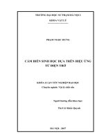 Luận văn tốt nghiệp cảm biến sinh học dựa trên hiệu ứng từ điện trở 