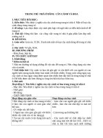 Giáo án Công nghệ 6 bài 12: Trang trí nhà ở bằng cây cảnh và hoa