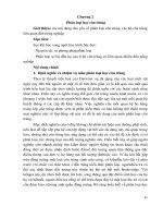 Giáo trình mô đun Côn trùng đại cương (Ngành/nghề: Bảo vệ thực vật) – Phần 2