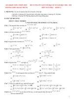 Đề cương ôn tập học kì 2 môn Toán lớp 12 năm 2020-2021 - Trường THPT Hai Bà Trưng