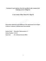 LUẬN văn THẠC sĩ (KINH tế) customers perception of service quality in the commercial banking sector of nigeria 