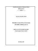 Luận văn tốt nghiệp tìm hiểu về nguyên lý tác dụng tối thiểu trong vật lý 
