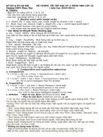 Đề cương ôn tập học kì 2 môn Tiếng Anh lớp 10 năm 2020-2021 - Trường THPT Phúc Thọ