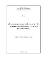 Kỹ năng thực hành nghề của sinh viên ngành sư phạm mầm non tại Thành phố Hồ Chí Minh.