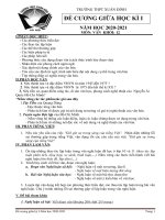 Đề cương ôn tập giữa học kì 1 môn Ngữ văn lớp 12 năm 2020-2021 - Trường THPT Xuân Đỉnh