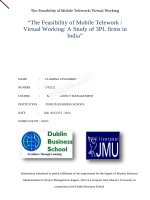 LUẬN văn THẠC sĩ (KINH tế) the feasibility of mobile telework,  virtual working; a study of 3PL firms in india 