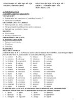 Đề cương ôn tập giữa học kì 2 môn Tiếng Anh lớp 11 năm 2020-2021 - Trường THPT Yên Hòa