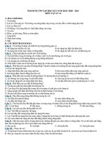 Đề cương ôn tập học kì 2 môn Vật lí lớp 11 năm 2020-2021 - Trường THPT Lương Ngọc Quyến