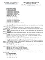 Đề cương ôn tập học kì 2 môn Ngữ văn lớp 11 năm 2020-2021 - Trường THPT Phú Bài