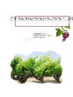 LUẬN văn THẠC sĩ (KINH tế) the case of french SMEs in the wine industry going to ASEAN countries 