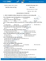 Đề thi HK1 môn Tin học 6 năm 2019-2020 Trường THCS Mỹ Độ