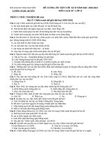 Đề cương ôn tập học kì 2 môn Lịch sử lớp 11 năm 2020-2021 - Trường THPT Lương Ngọc Quyến