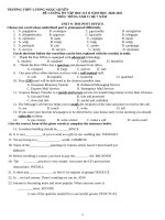 Đề cương ôn tập học kì 2 môn Tiếng Anh lớp 11 năm 2020-2021 - Trường THPT Lương Ngọc Quyến (Hệ 7 năm)