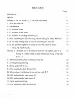 Luận án tiến sĩ dị hướng từ và hiện tượng tái định hướng spin trong các hệ vật liệu RFe11Ti 