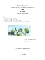 Tiểu luận môn kinh tế môi trường 