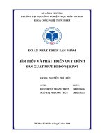 Đồ án (phát triển sản phẩm) tìm hiểu và phát triển quy trình sản xuất mứt bí đỏ vị kiwi 