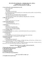 Đề cương ôn tập học kì 1 môn Sinh học lớp 12 năm 2020-2021 - Trường THPT Hai Bà Trưng