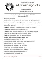 Đề cương ôn tập học kì 1 môn Lịch sử lớp 11 năm 2020-2021 - Trường THPT Xuân Đỉnh
