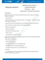 Đề kiểm tra ôn tập HK1 môn Địa lý 9 năm 2019-2020 - Trường THCS - THPT Mỹ Việt có đáp án